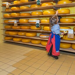 De ideale kaasbeleving